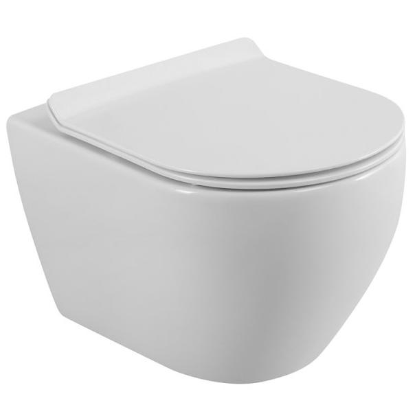 купить Унитаз подвесной Cezares STYLUS CZR-513-TH-R безободковый с сиденьем CZR-076-SC 