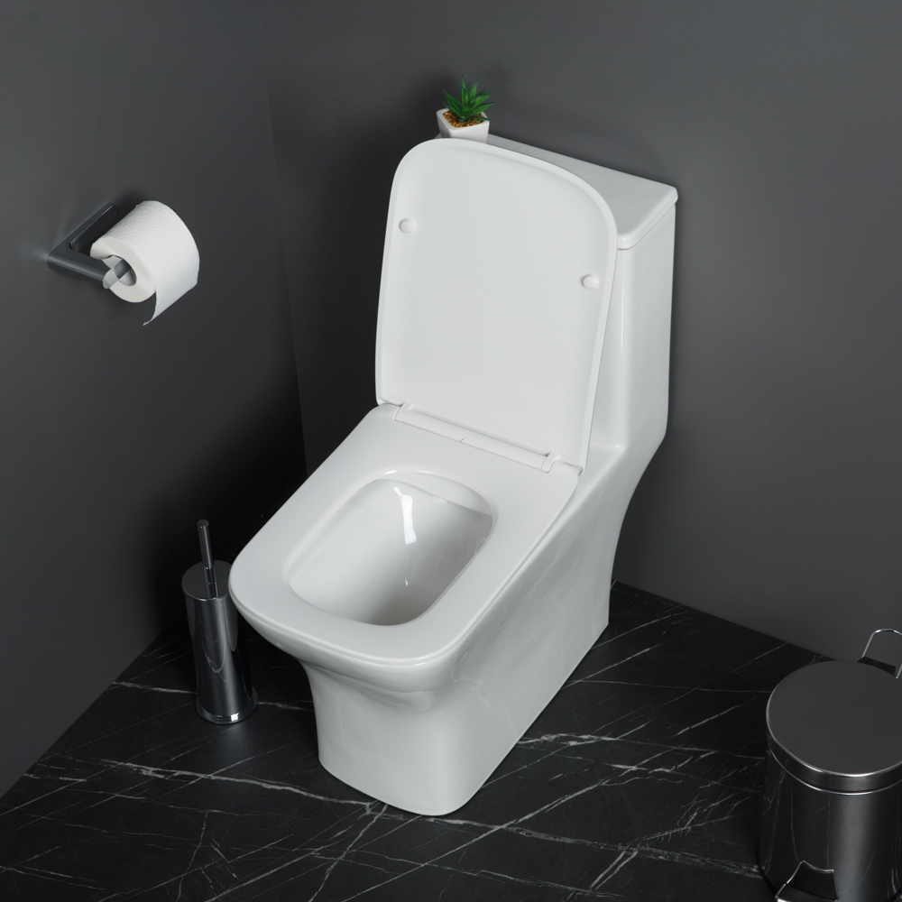 Унитаз-моноблок безободковый с сиденьем BelBagno NEON BB8617CPR-MN/SC