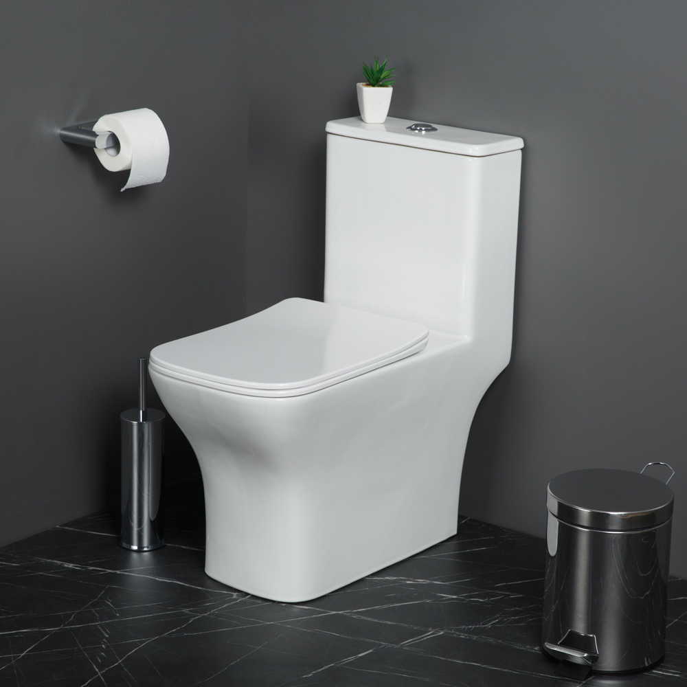 купить Унитаз-моноблок безободковый с сиденьем BelBagno NEON BB8617CPR-MN/SC 